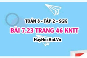 Bài 7.23 trang 46 Toán 8 Tập 2 Kết nối tri thức: Phân tích đồ thị nhiệt độ theo thời gian